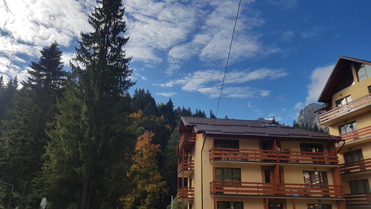 Apartament Lexannona Буштені Екстер'єр фото